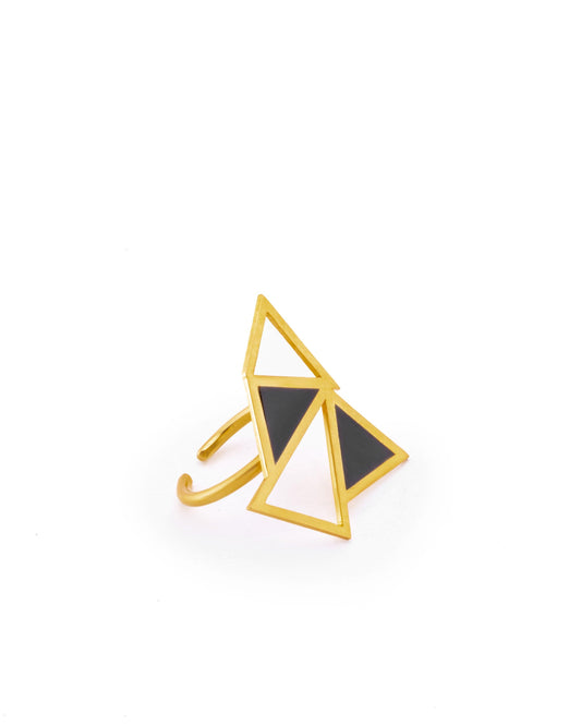 Tetra Noir