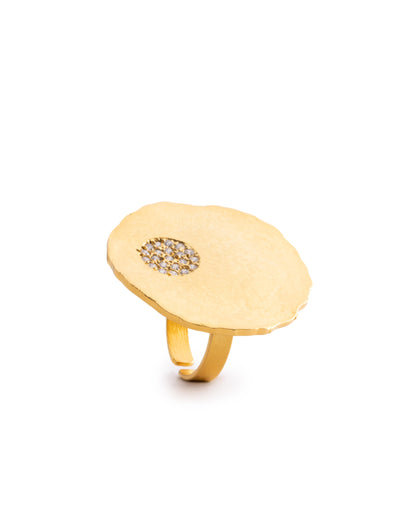The Celestrial Coin